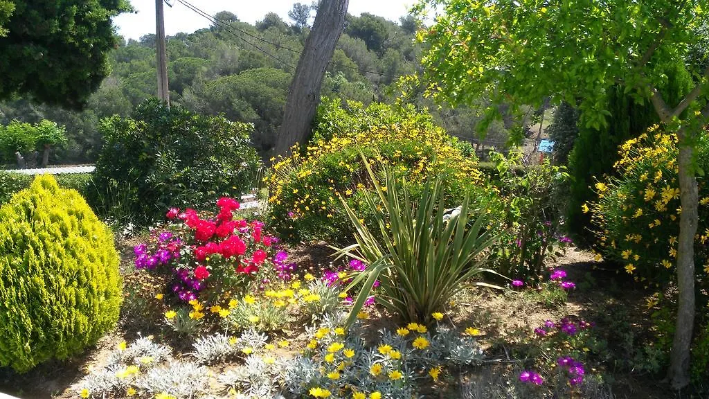 Apartamentos Famara Lloret de Mar Daire